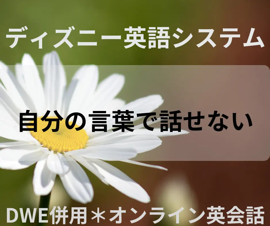 ディズニー英語システム（DWE） ～自分の言葉で話せない～ | 1姫2太郎